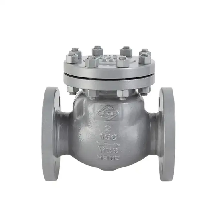 1 انچ نان ریٹرن چیک والو